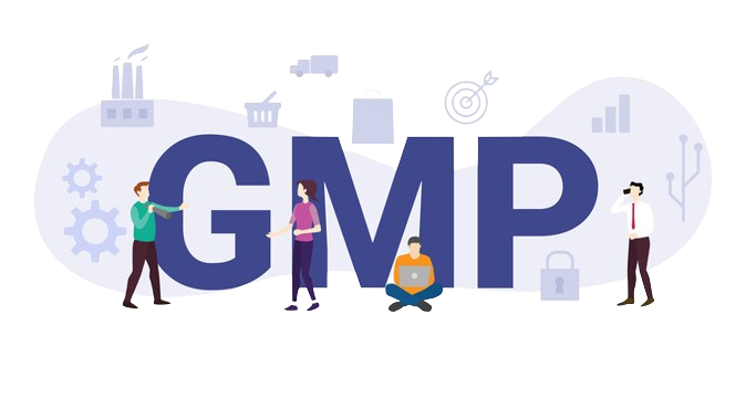 GMP Training